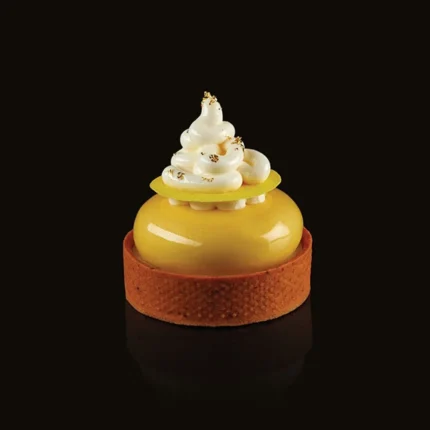 Pavoni-3D-Pavoflex-mould-300×175-PX3200S-ROUND-48